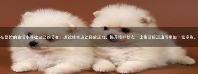 快体育app官网下载：在繁忙的生活中寻找自己的节奏，通过体育运动释放压力、提升精神状态，让生活因运动而更加丰富多彩。
