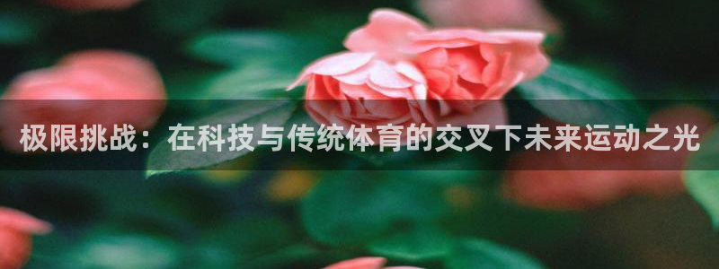 快体育直播五大联赛：极限挑战：在科技与传统体育的交叉下未来运动之光