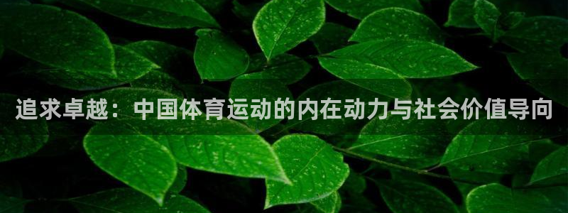 快体育五大联赛24小时实时直播：追求卓越：中国体育运动的内在动力与社会价值导向