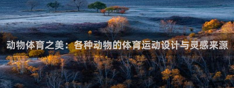 快体育五大联赛24小时实时直播：动物体育之美：各种动物的体育运动设计与灵感来源