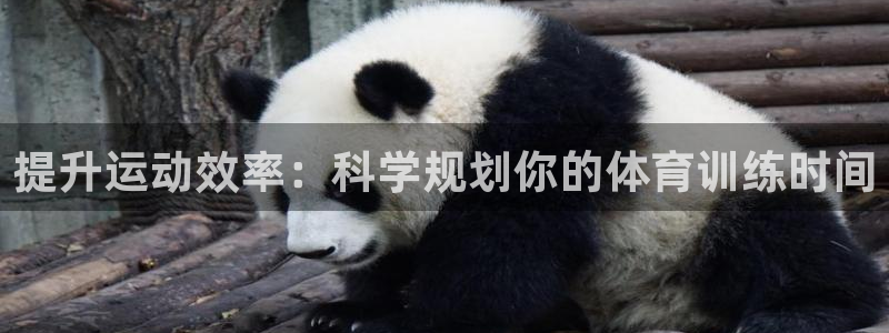 快体育直播五大联赛：提升运动效率：科学规划你的体育训练时间